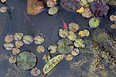 地雷社新作《超次元海王星姐妹VS姐妹》公开 登陆PS4＆PS5